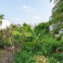 [KH207*] Đất giá rẻ Hẻm Ôtô vuông A4 Thạnh Lộc 29 Nhỉnh 4.x tỷ (X nhỏ)