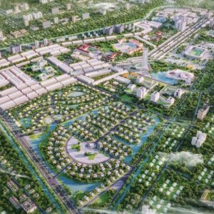 Cần Giờ sắp hóa rồng Đã đến lúc chúng ta nhìn về hướng biển?