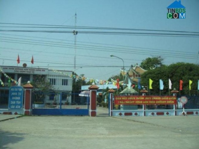 Đầu tư gì ở Bình Hòa 2026? Đừng bỏ lỡ "mỏ vàng" căn hộ cho thuê!