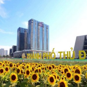 Đầu tư gì ở Phường Thủ Đức 2026? Đừng bỏ qua "đặc sản" dòng tiền!